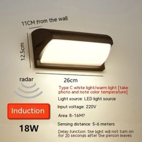 Outdoor Waterproof Wall Lamp Courtyard Shop Door Wall Lamp (Option: White Light 6000K-C Type Arc 18w Induction)